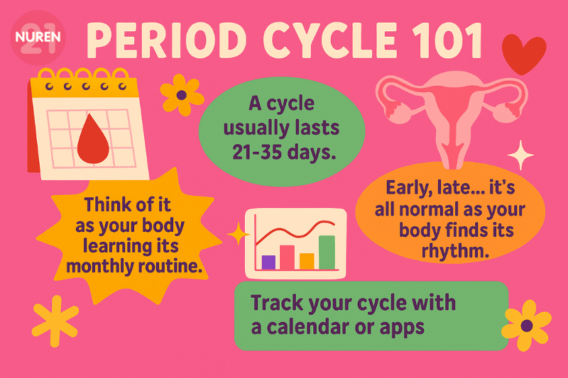 image of period cycle in pink background