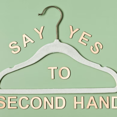 velvet hanger on green pastel background showing thrifting purchases