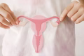 hands holding uterus, teen health, PCOS, first period concept