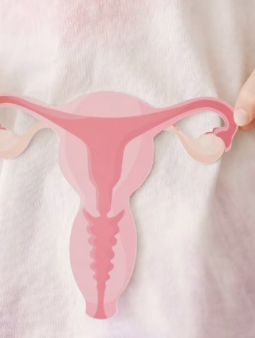 hands holding uterus, teen health, PCOS, first period concept