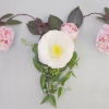 Female uterus made from leaves and flowers, reproductive system, cervical cancer, PCOS, PMOS, woman health concept