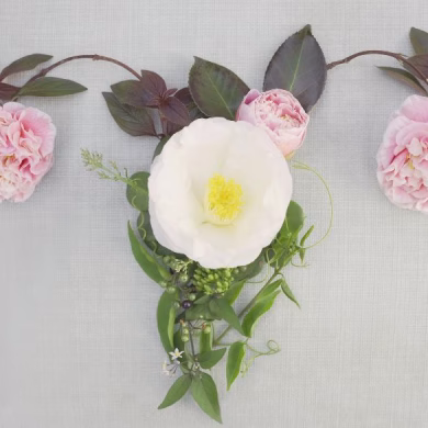Female uterus made from leaves and flowers, reproductive system, cervical cancer, PCOS, PMOS, woman health concept